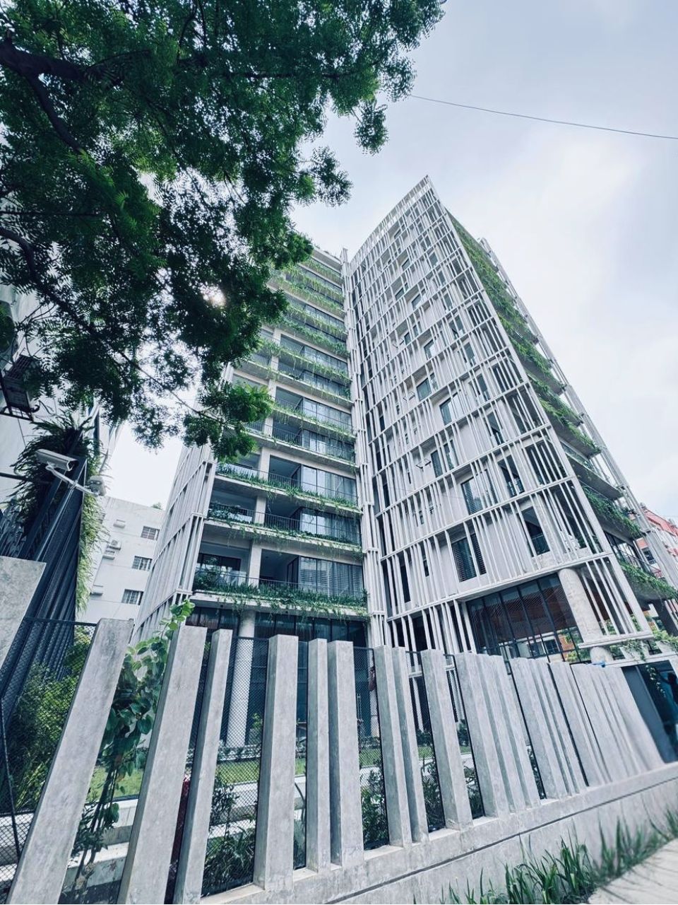 TAHSINKO-DOPPLER-2.jpg